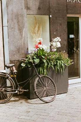 Bouquets crafted in Sydney