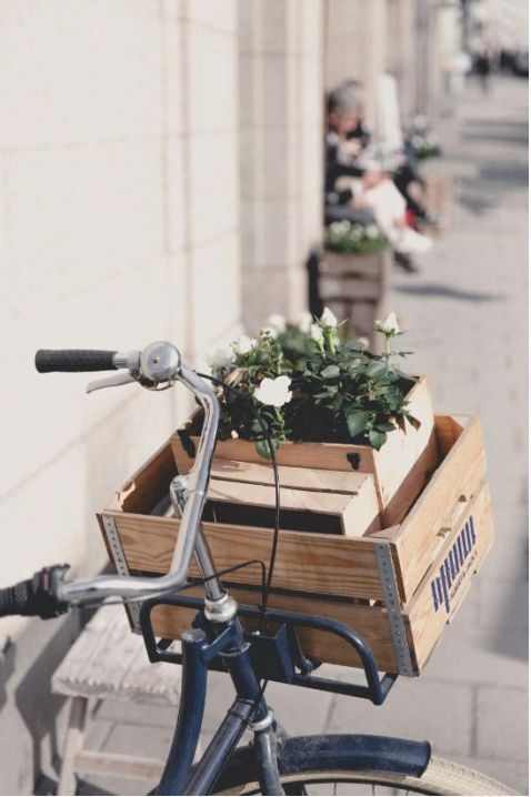 Fresh stems and seasonal flowers