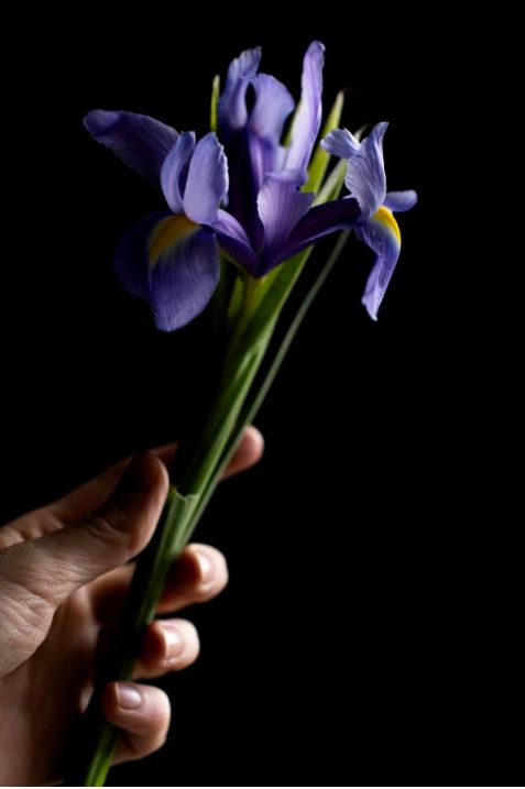 Selection of Newopportunity bouquets