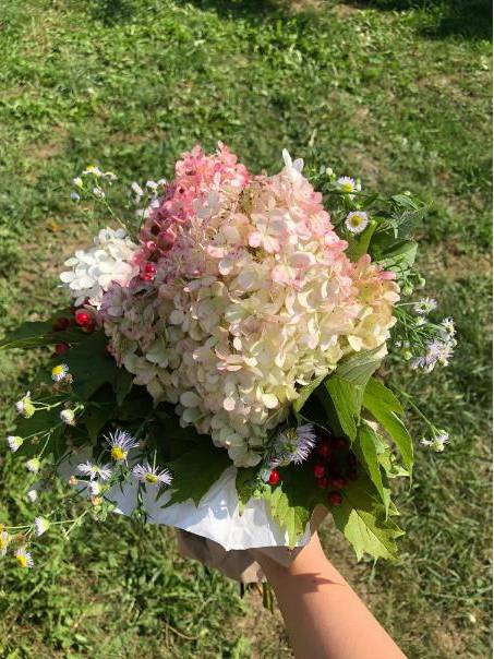 Bouquet arrangement